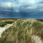 SYLT - Die Weite am Ellenbogen