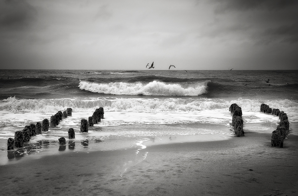 SYLT - Die Welle