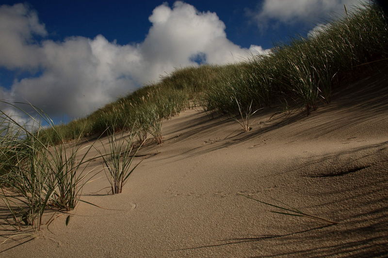 Sylt Düne