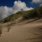 Sylt Düne