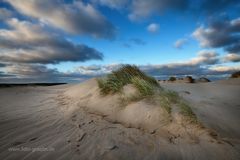 SYLT- Düne