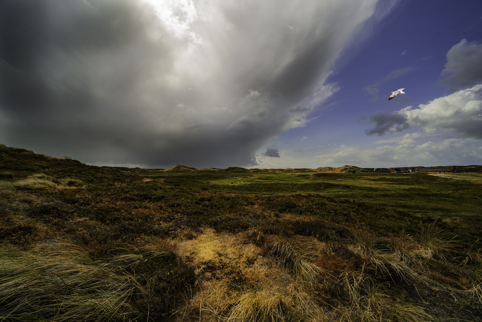 Sylt Düne Sturm 