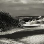 SYLT - Duenen