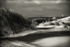 SYLT - Duenen