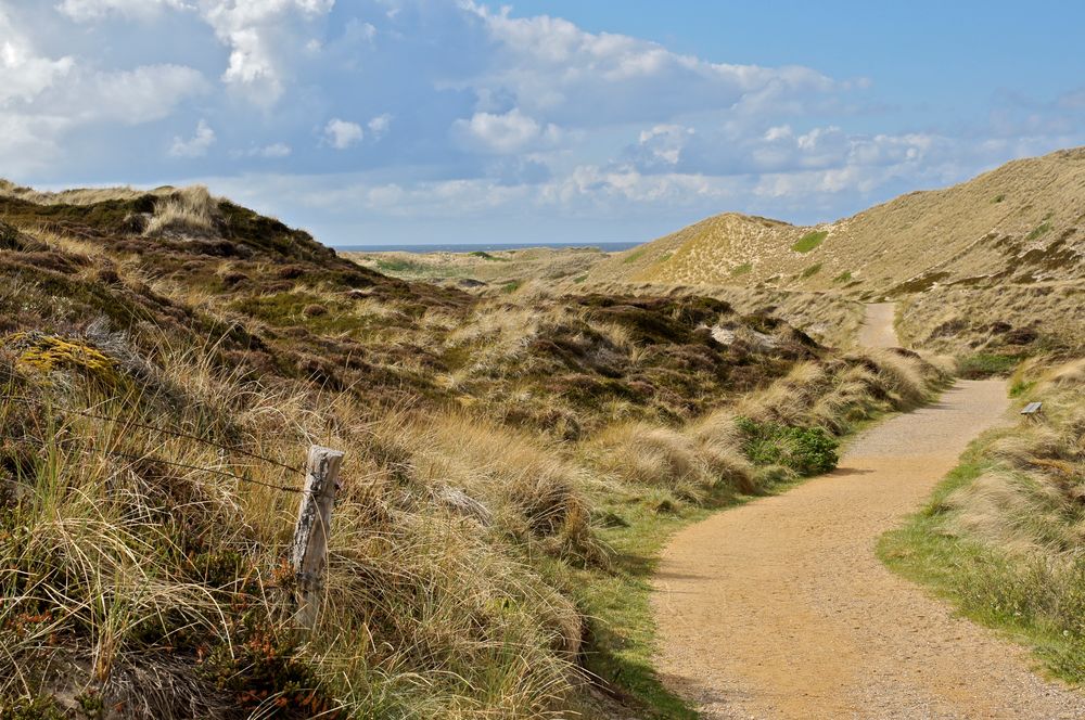 Sylt - Dünen 