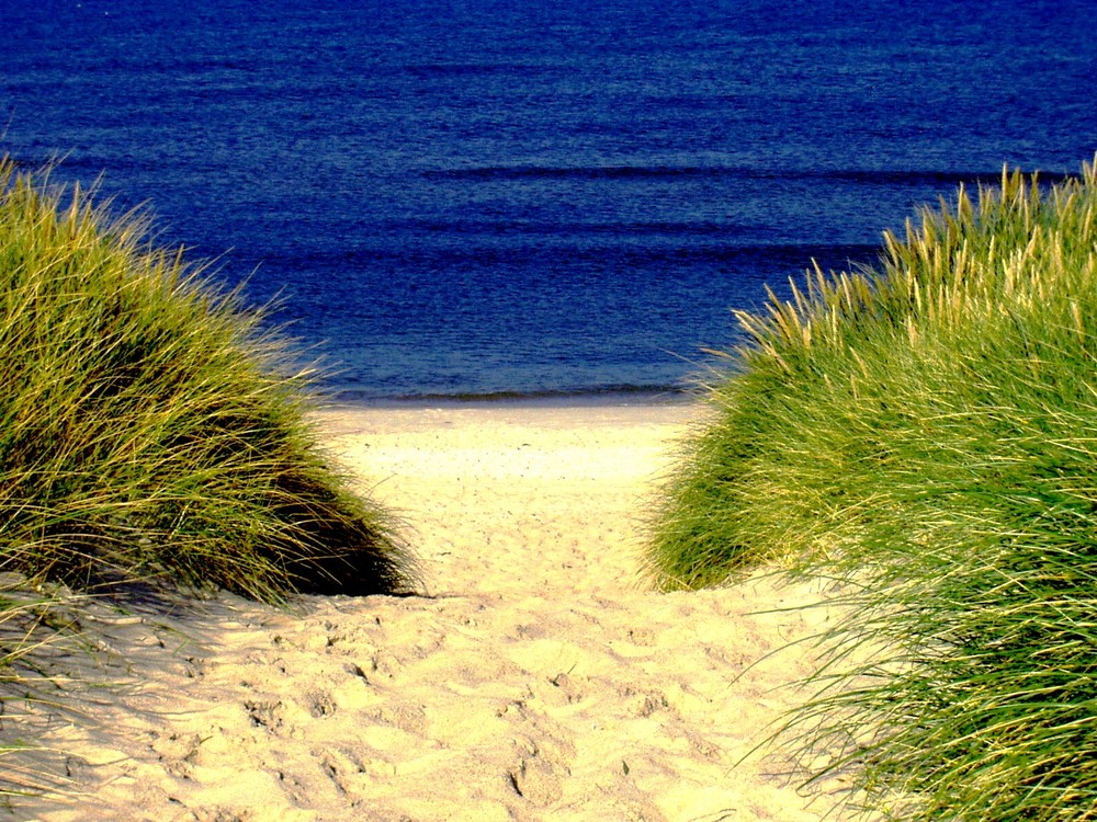 Sylt Dünen :)