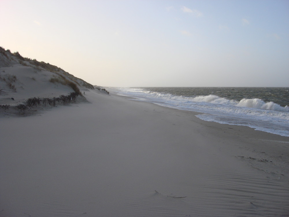 Sylt - Dünen