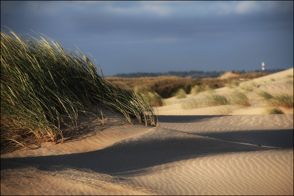 SYLT - Duenen II