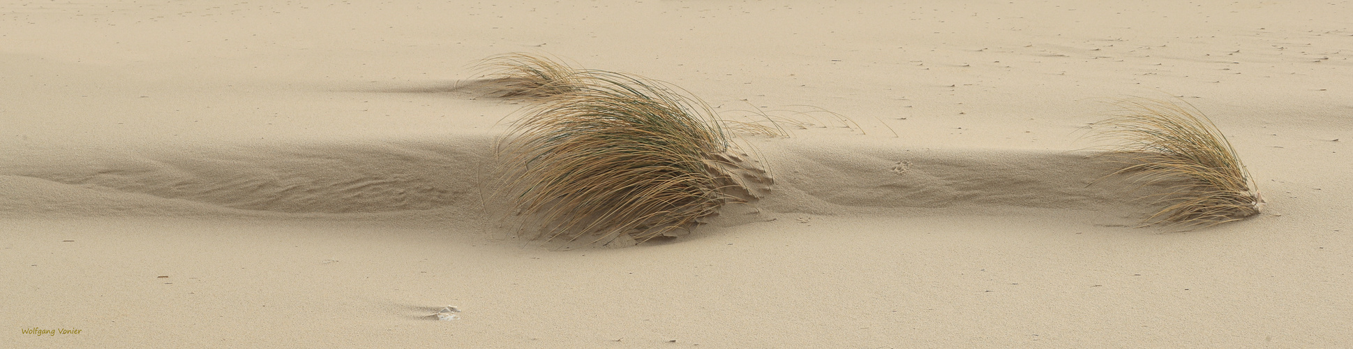 Sylt - Dünen, Strand und Strandhafer