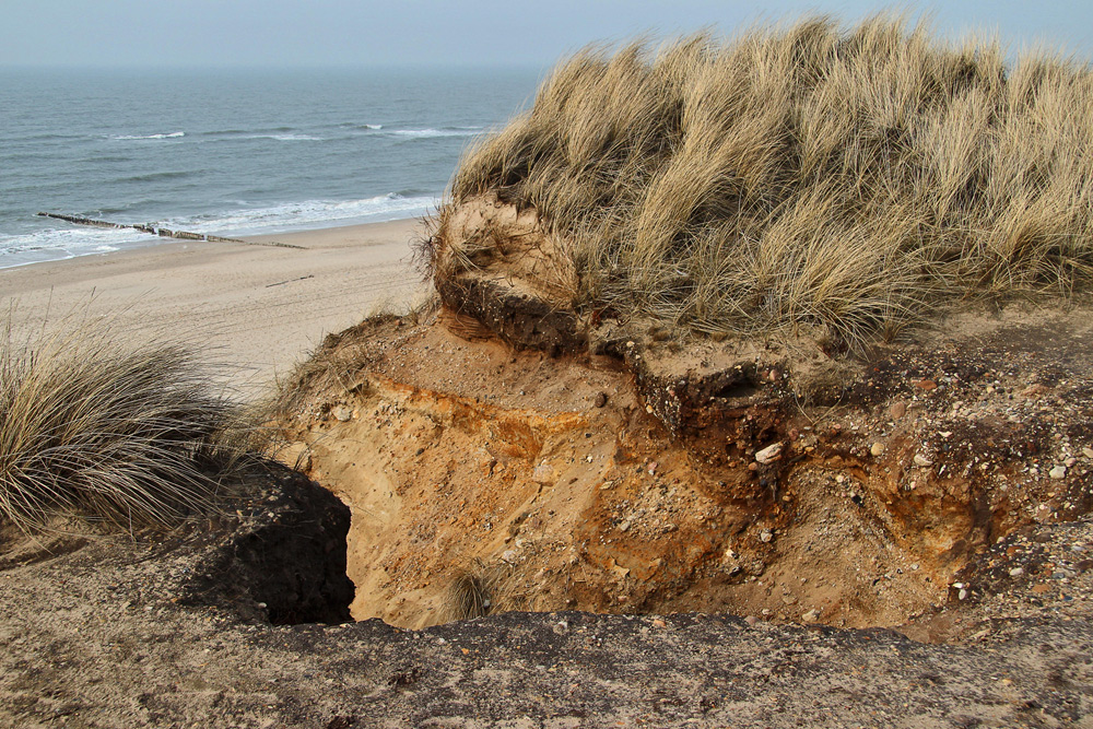 Sylt - Dünenimpressionen (01)