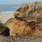 Sylt - Dünenimpressionen (01)