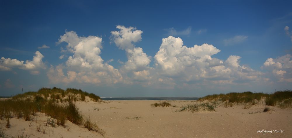 Sylt-Dünenlandschaft am Ellenbogen