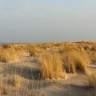 Sylt-Dünenlandschaft am Ellenbogen