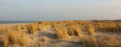 Sylt-Dünenlandschaft am Ellenbogen