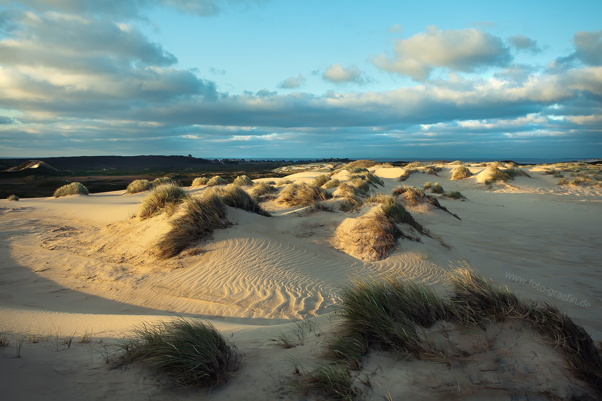 SYLT - Dünensicht