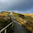 Sylt-Dünenübergang am Klappholttal