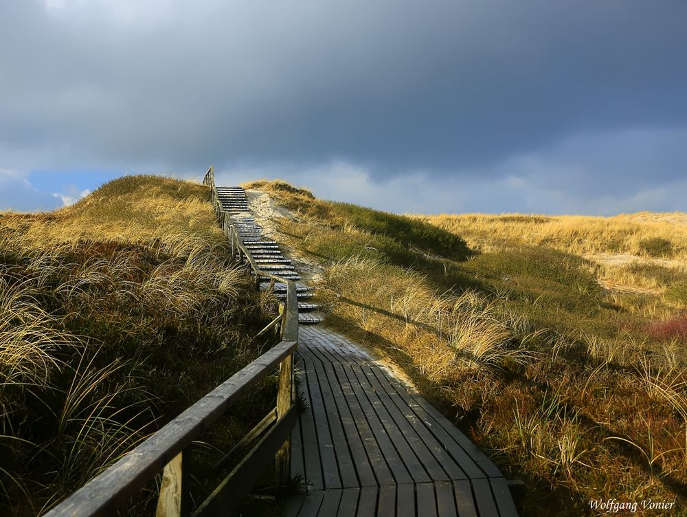 Sylt-Dünenübergang am Klappholttal