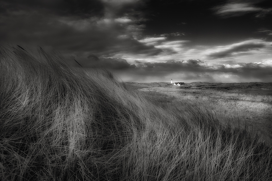 SYLT - Dünenwind