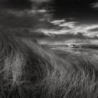 SYLT - Dünenwind