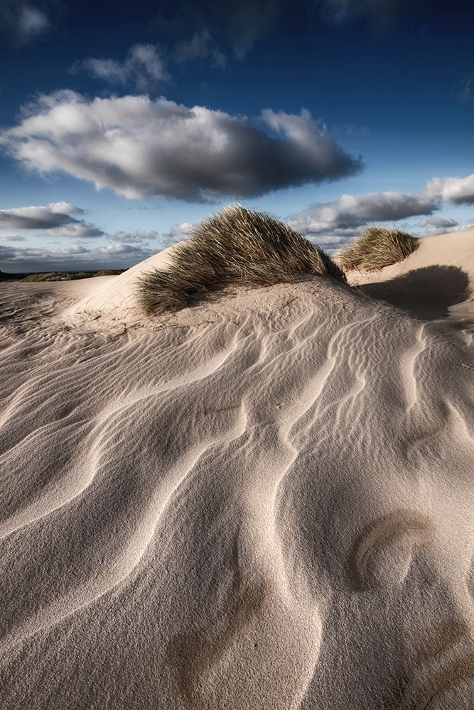 SYLT - Dunes