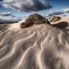 SYLT - Dunes