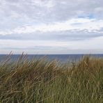 Sylt durch die "Blume"