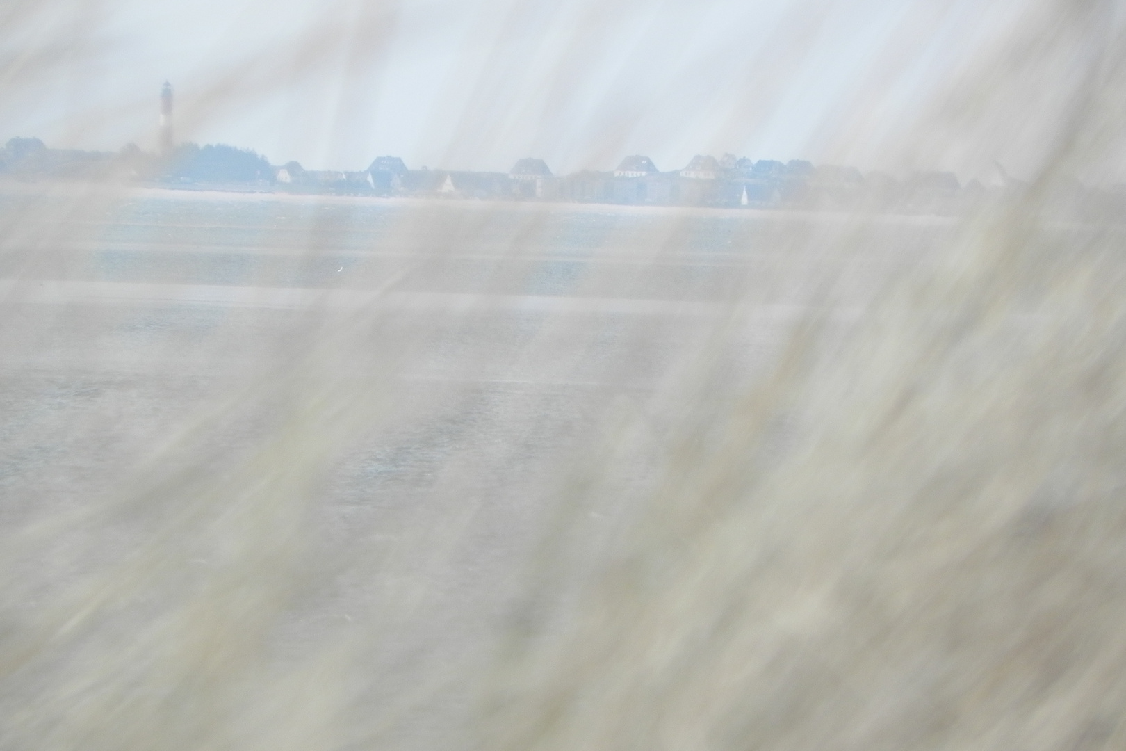 Sylt durch Föhrer Gras