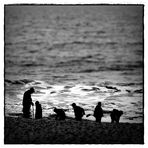 Sylt