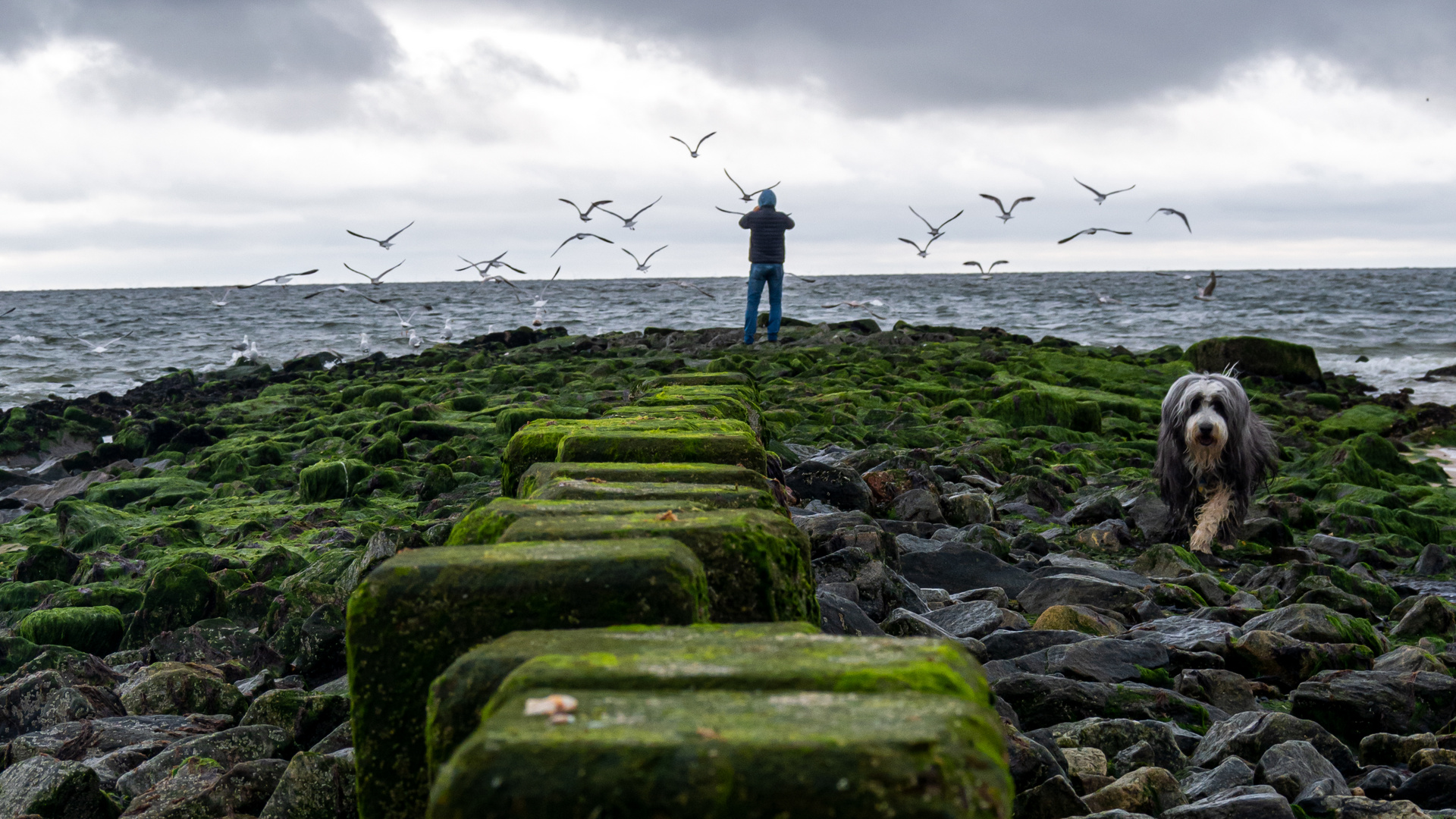 Sylt 