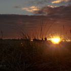 SYLT - Ein Abend am Kliff