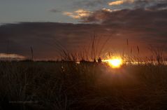 SYLT - Ein Abend am Kliff