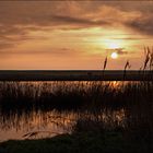 SYLT - Ein Tag erwacht