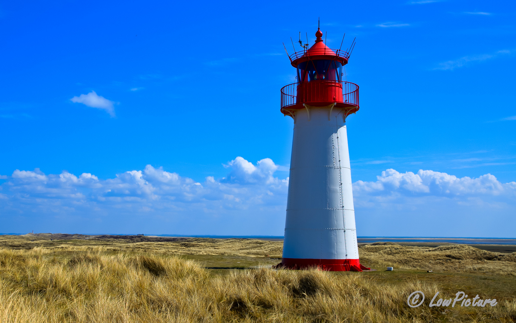 Sylt - Ellenbogen