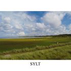 Sylt - Ellenbogen