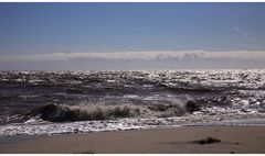 Sylt-Ellenbogen