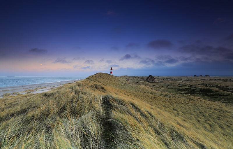 Sylt Ellenbogen Dezember 2013