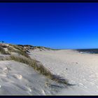 Sylt-Ellenbogen im April