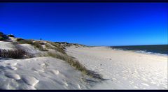 Sylt-Ellenbogen im April