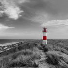 Sylt, Ellenbogen mit Leuchtturm, schwarz-weiss, teilcoloriert, Panorama