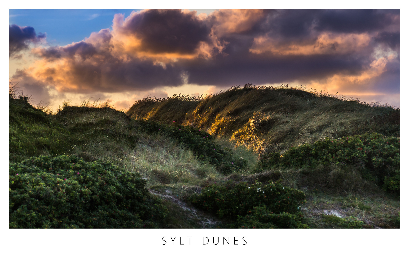 Sylt