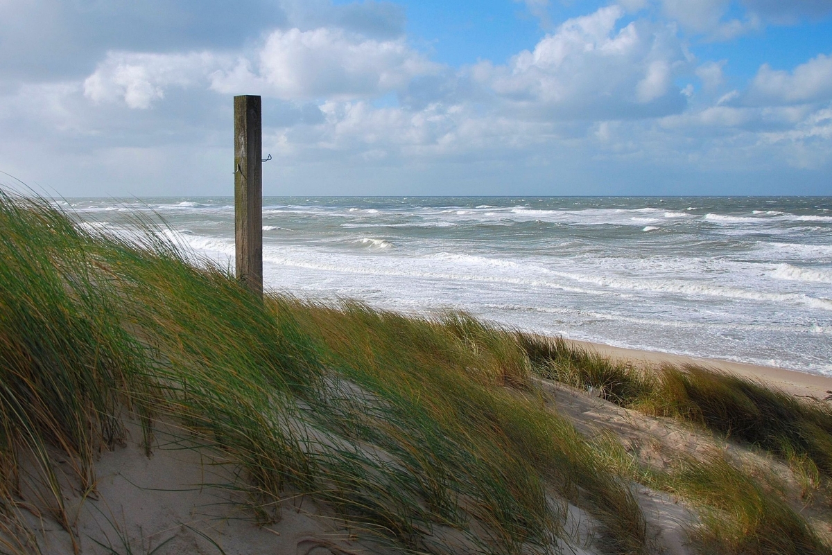 sylt