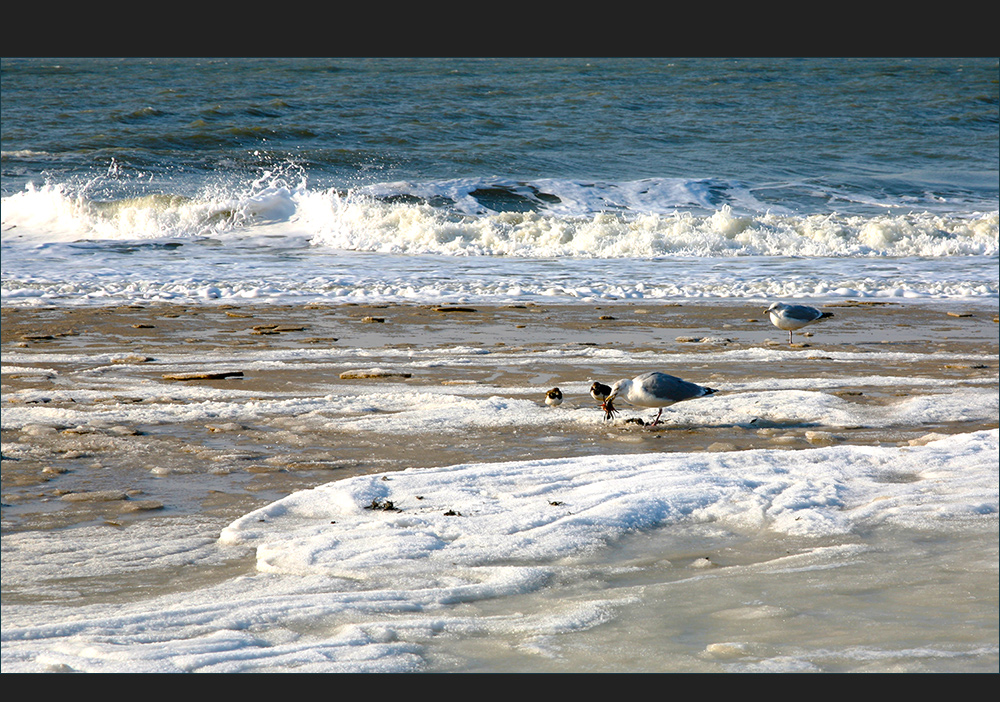 Sylt Februar 2012