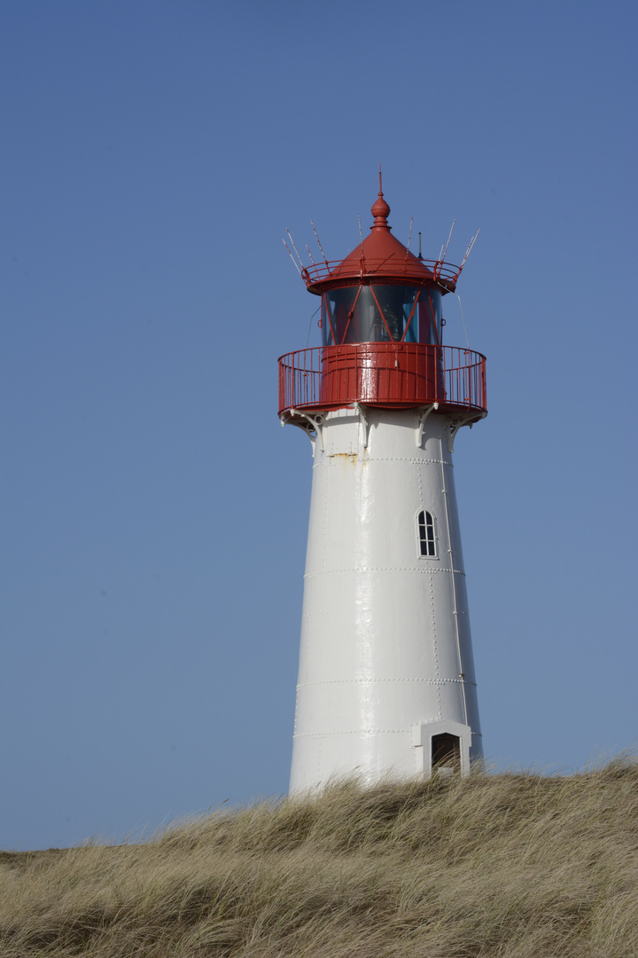 Sylt, Februar 2014 - Ellenbogen