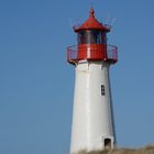 Sylt, Februar 2014 - Ellenbogen