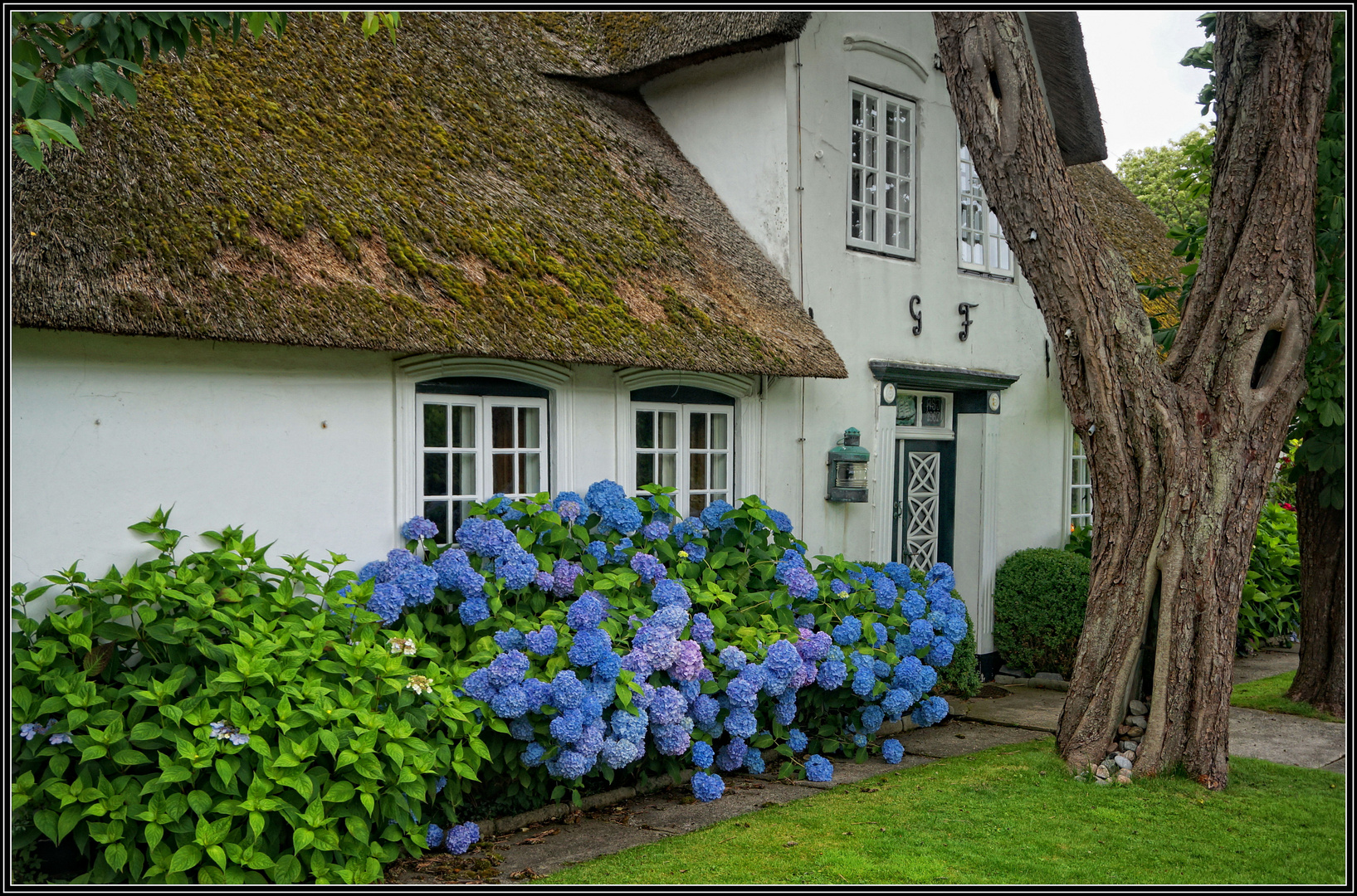 Sylt  -  Friesenhaus in Keitum