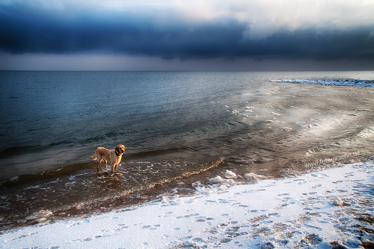 SYLT - Frostig