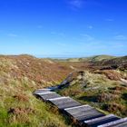 Sylt - Heide