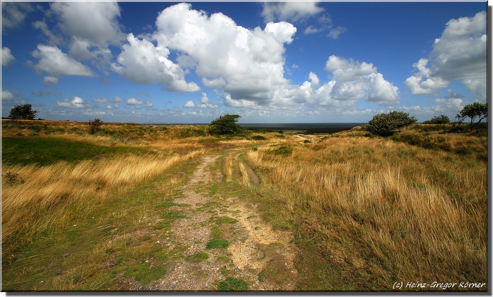 Sylt Heide