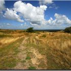 Sylt Heide