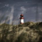 SYLT - Herbstwind